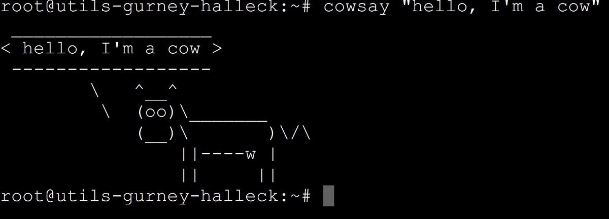 A Brief History of the Command Line